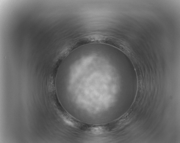 X0000066950411200604071943