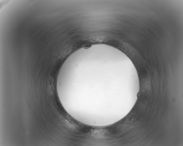 X0000066950414200604071943