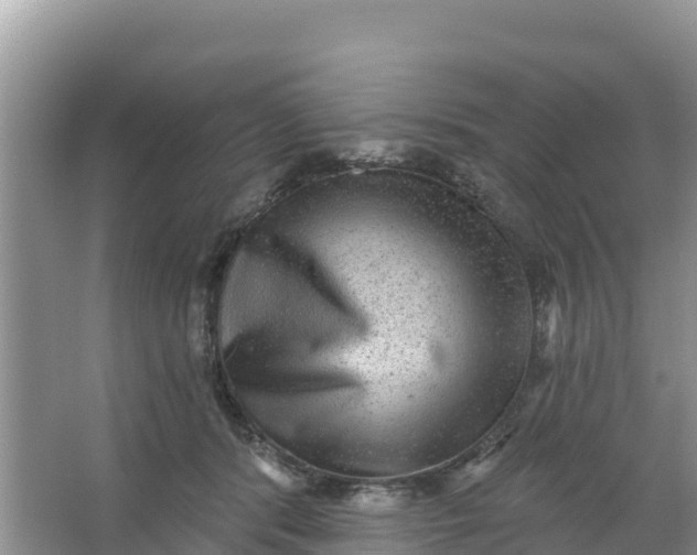 X0000066950416200604071943