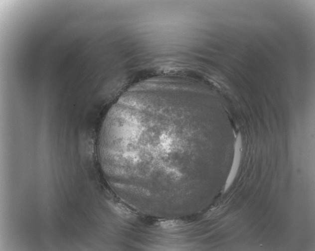 X0000066950417200604071943