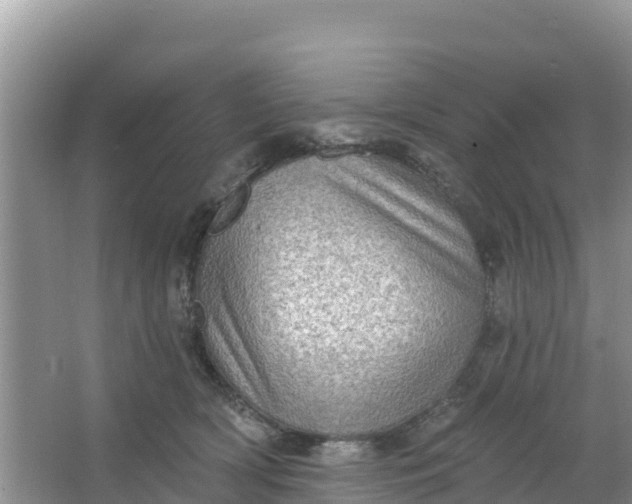 X0000066950418200604071943