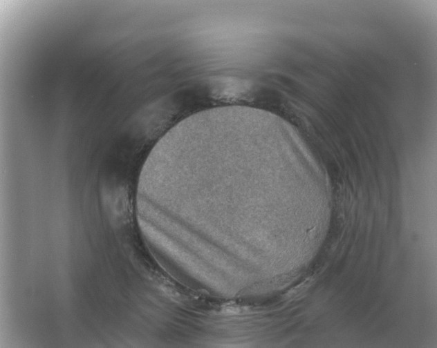 X0000066950420200604071943