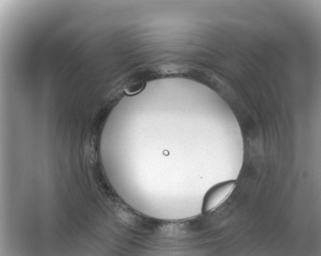 X0000066950422200604071943