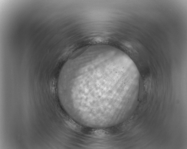 X0000066950423200604071943