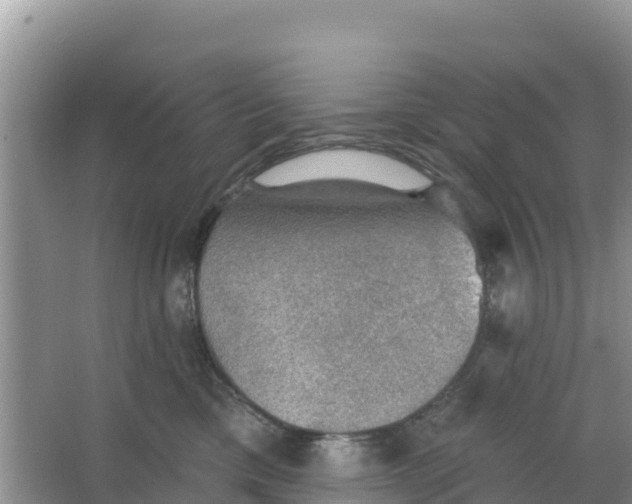 X0000066950425200604071943