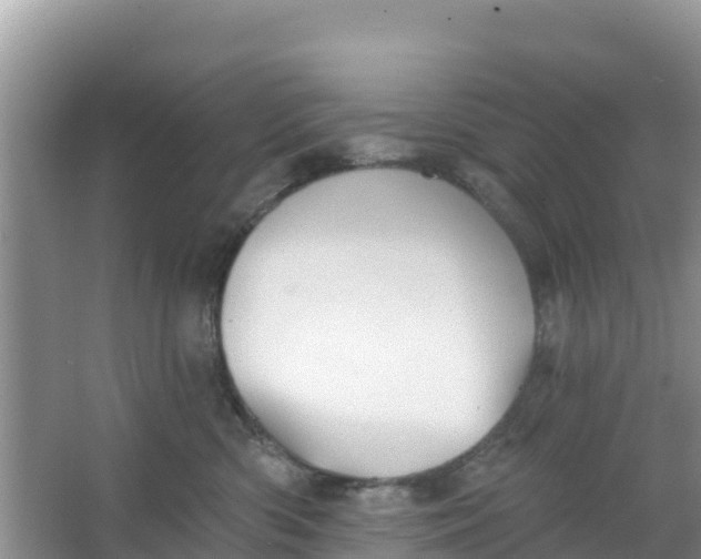 X0000066950426200604071943