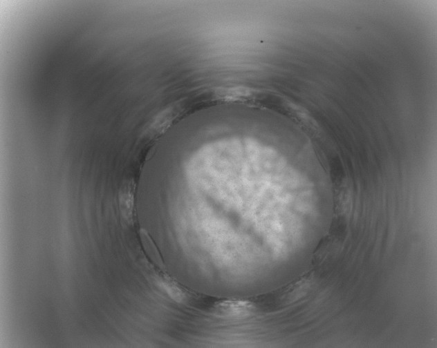 X0000066950427200604071943