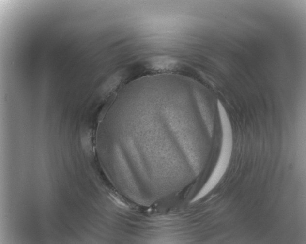 X0000066950428200604071943