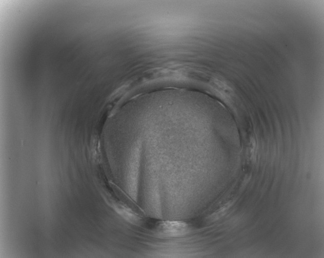 X0000066950429200604071943