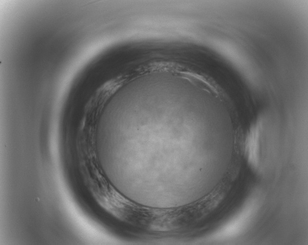 X0000066950431200604071943