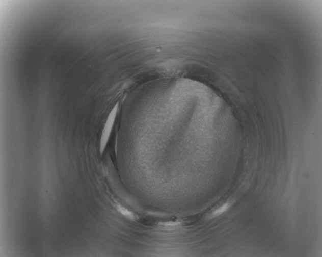 X0000066950432200604071943