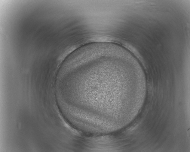 X0000066950433200604071942