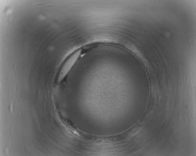 X0000066950434200604071942