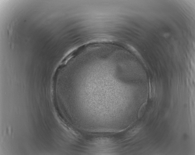 X0000066950435200604071942