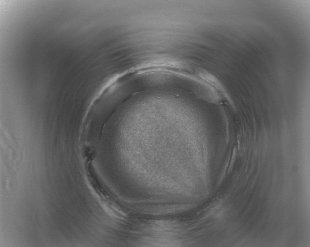 X0000066950436200604071942