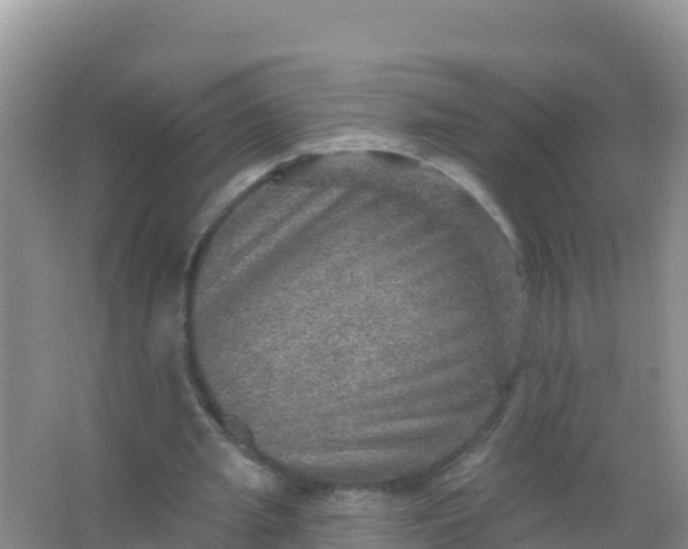 X0000066950437200604071942