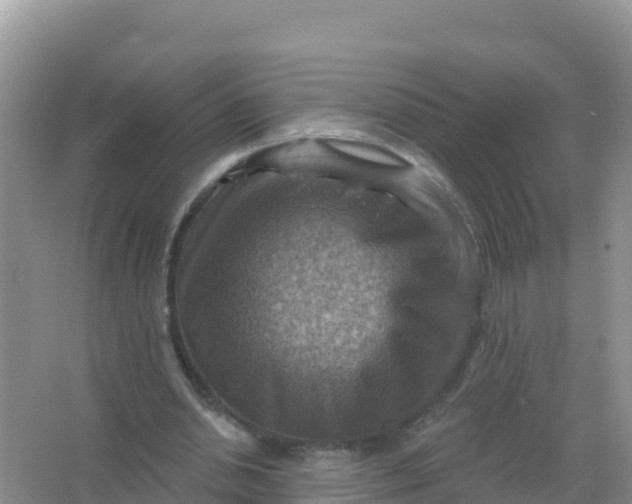 X0000066950438200604071942