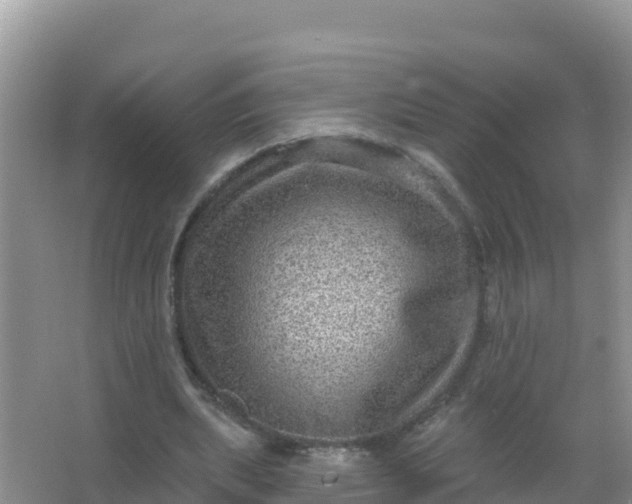 X0000066950439200604071942