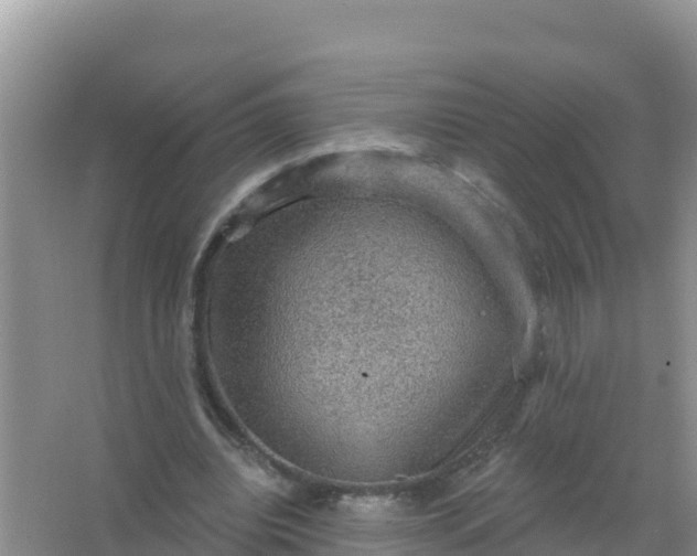 X0000066950440200604071942