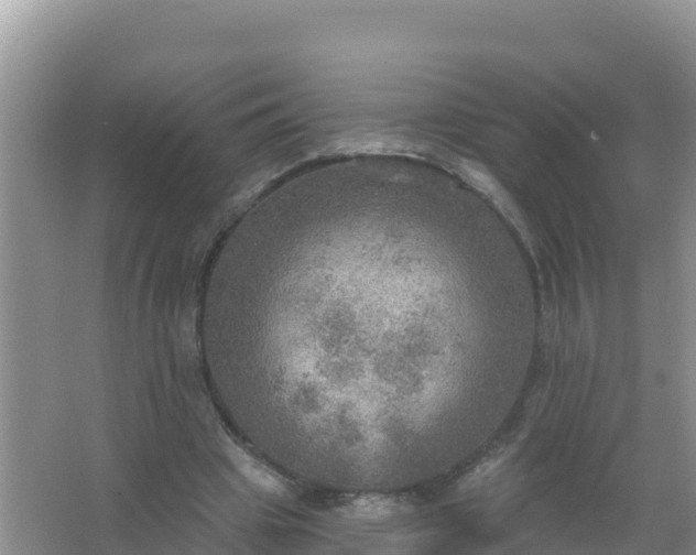 X0000066950441200604071942