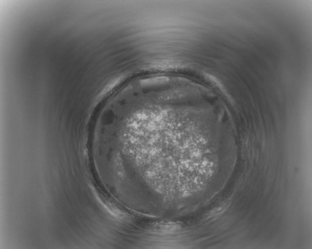 X0000066950443200604071942