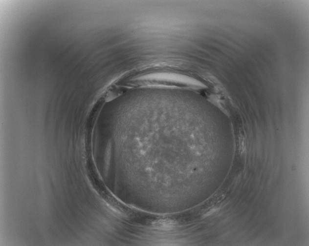 X0000066950444200604071942