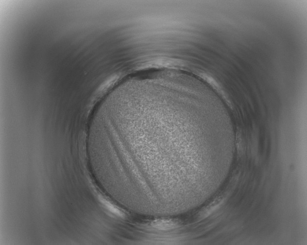 X0000066950445200604071942