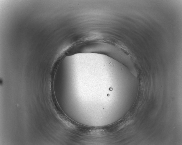 X0000066950446200604071942