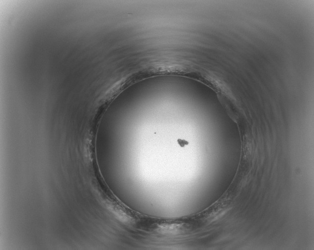 X0000066950450200604071943