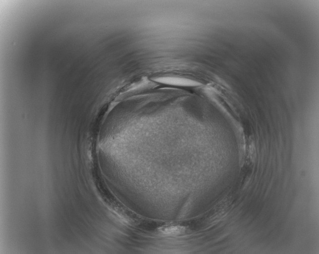 X0000066950452200604071943