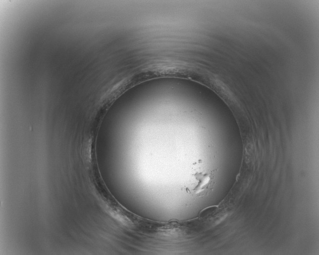 X0000066950454200604071943