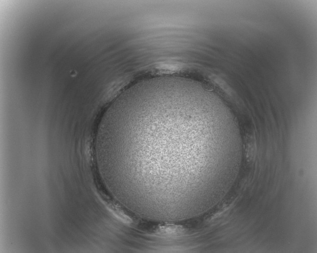 X0000066950455200604071943