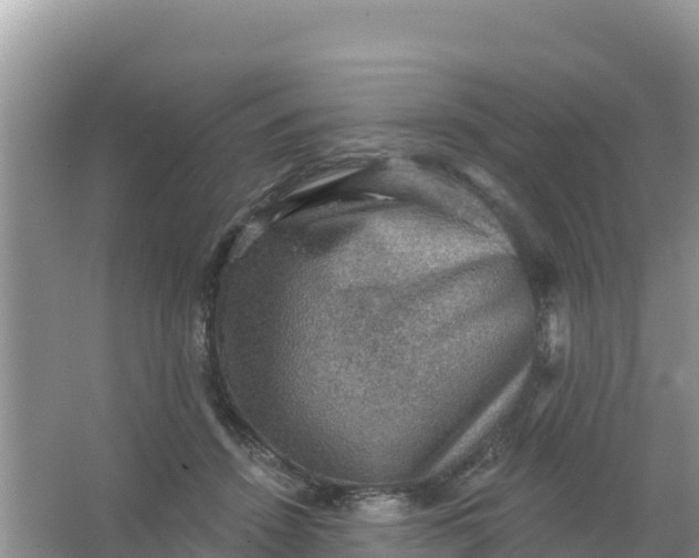 X0000066950456200604071943