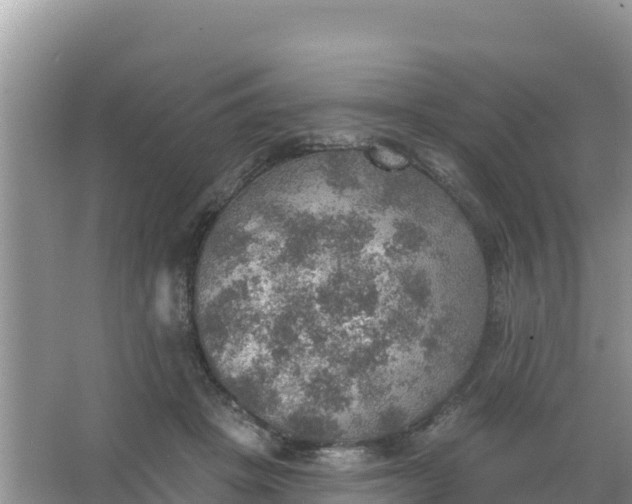 X0000066950457200604071943