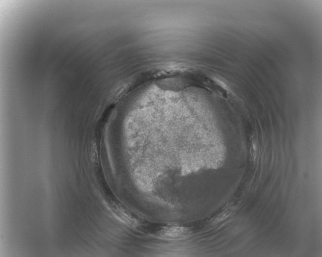 X0000066950459200604071943