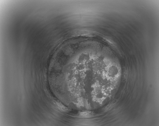 X0000066950461200604071943