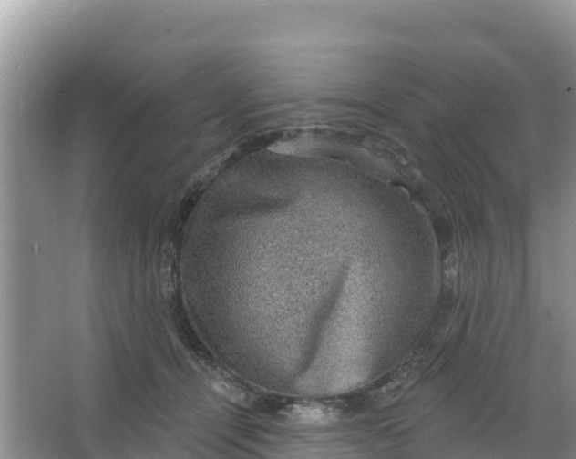 X0000066950464200604071943