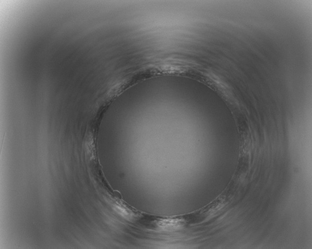 X0000066950465200604071943