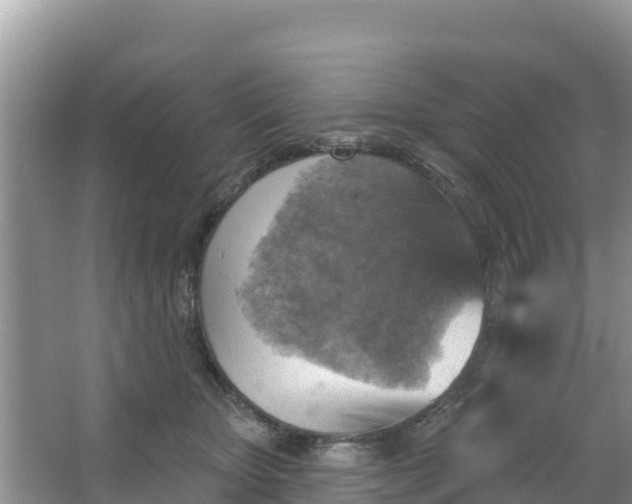 X0000066950467200604071943