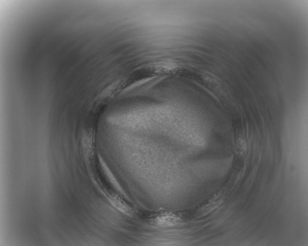 X0000066950468200604071943