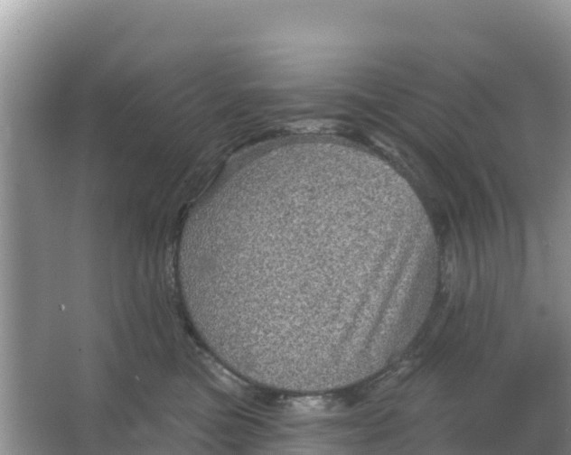 X0000066950473200604071943