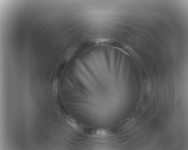 X0000066950475200604071943