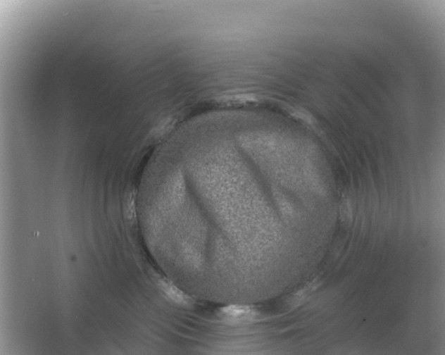 X0000066950477200604071943