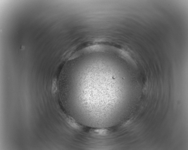 X0000066950478200604071943