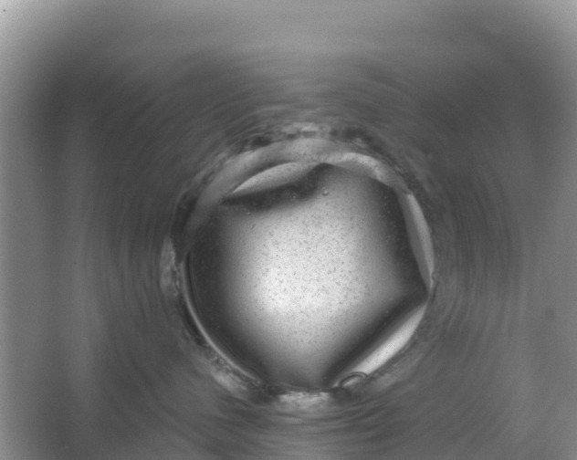 X0000066950480200604071943