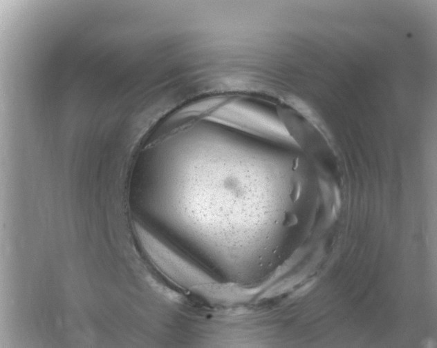 X0000066950481200604071942