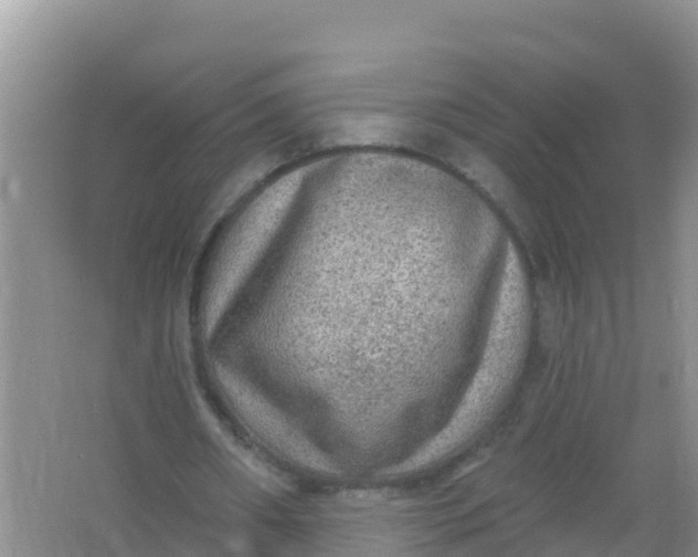 X0000066950482200604071942