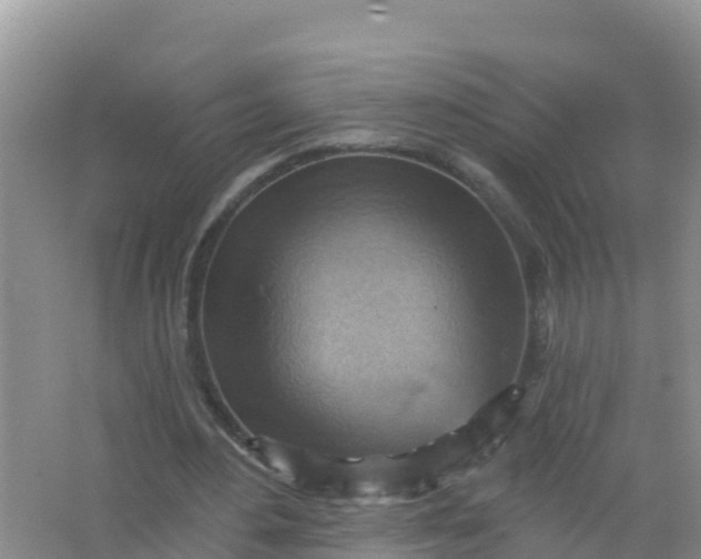 X0000066950484200604071942