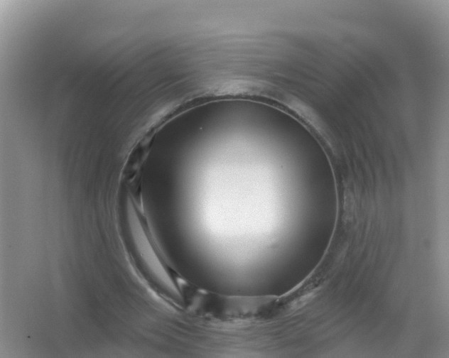 X0000066950485200604071942