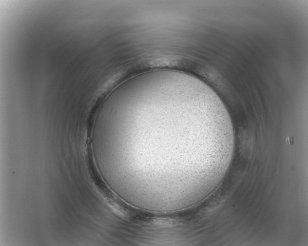 X0000066950490200604071942